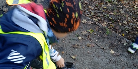 Powiększ grafikę: Przedszkolaki zbbierają kasztany