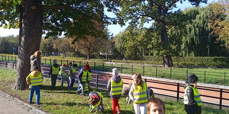 Powiększ grafikę: Przedszkolaki zbierają kasztany przy Raduni