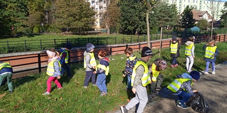 Powiększ grafikę: Zbieranie kasztanów