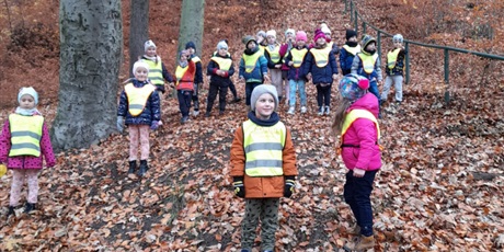 Powiększ grafikę: w parku jesienią