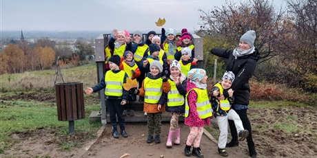 Powiększ grafikę: Motylki na punkcie widokowym