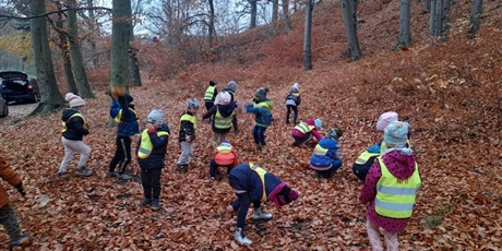 Powiększ grafikę: wesoła zabawa liśćmi