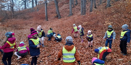 Powiększ grafikę: zbawa z liśćmi