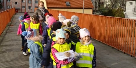 Powiększ grafikę: Galeria