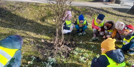 Powiększ grafikę: Dzieci na spacerze przy przebiśniegach