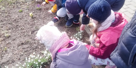 Powiększ grafikę: dzieci obserwują kwiaty w ogrodzie przedszkolnym