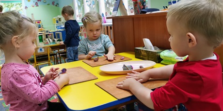 Powiększ grafikę: dzieci lepią kulki z plasteliny