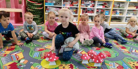 Powiększ grafikę: Laura porównuje liczebność zbiorów, określe, gdzie jest mniej muchomorów