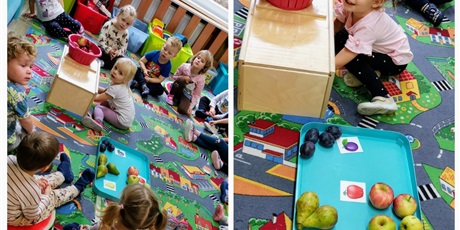 Powiększ grafikę: Dzieci poznaja owoce - gruszki śliwki i jabłka, zabawa z tajemniczym pudełkiem, tylko przez dotyk określają nazwę owocu